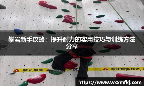 熊猫体育登录入口
